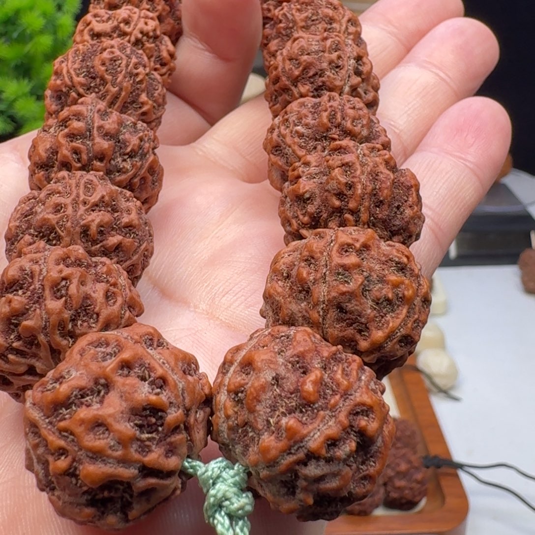 金刚菩提手串粗筋双龙