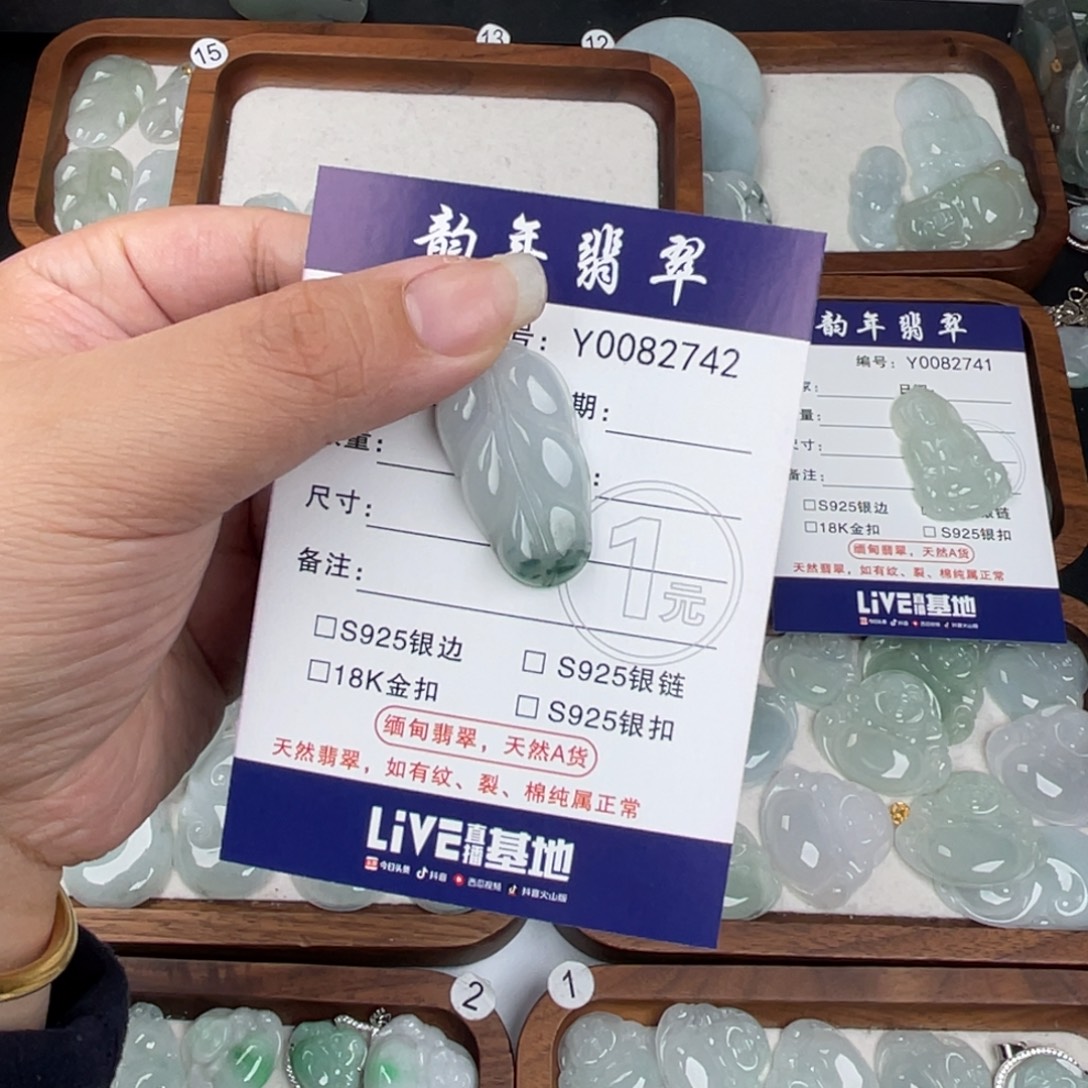 ****.翡翠未镶嵌颈饰叶子