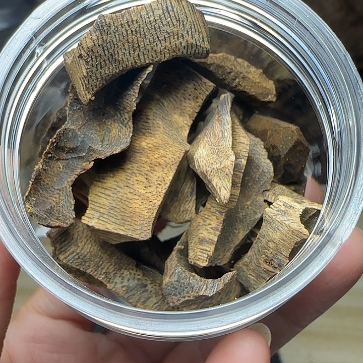 龙***S海南白奇香尖壳子老料20克