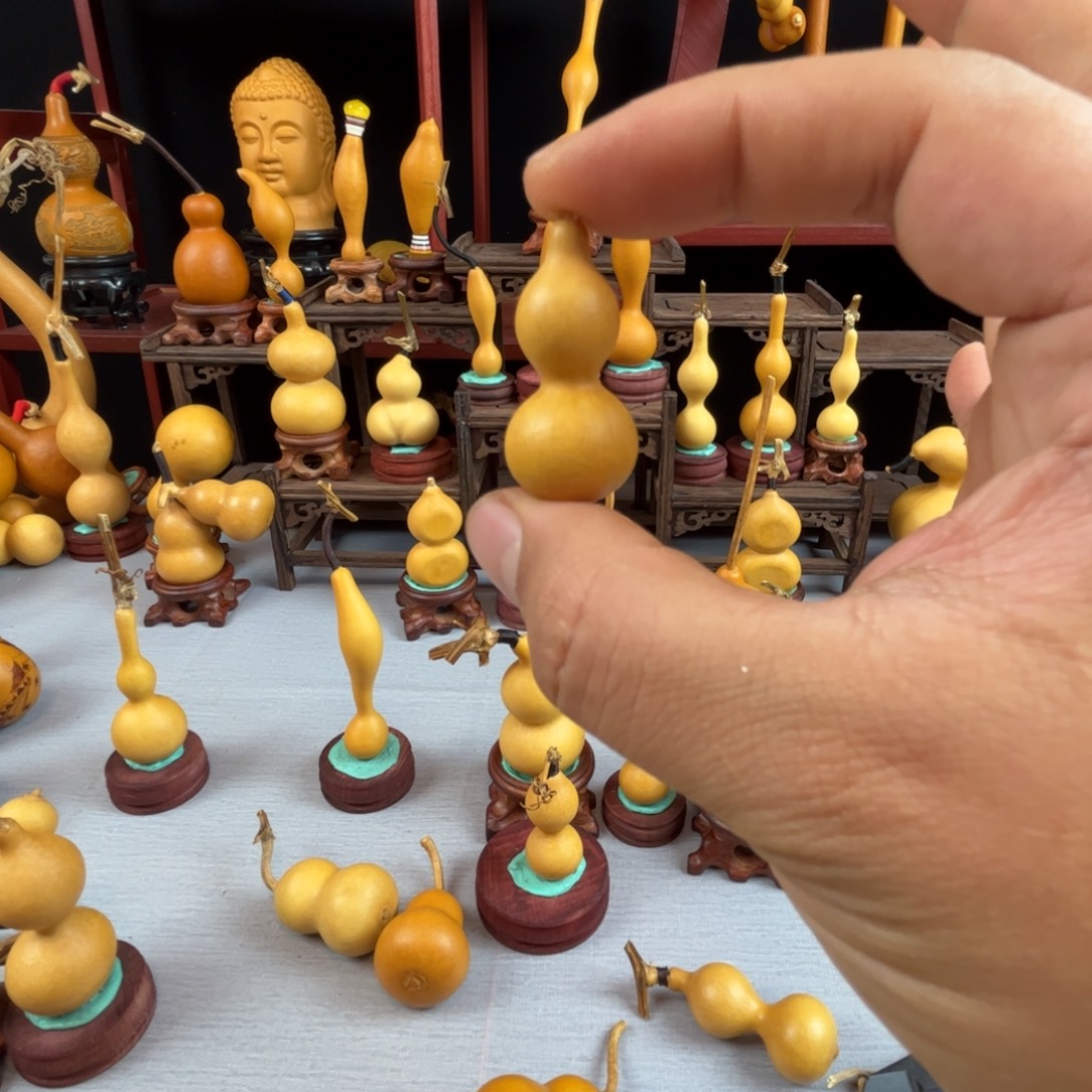 婷***鸭藤木我们不一样，每个人都有不同的境遇