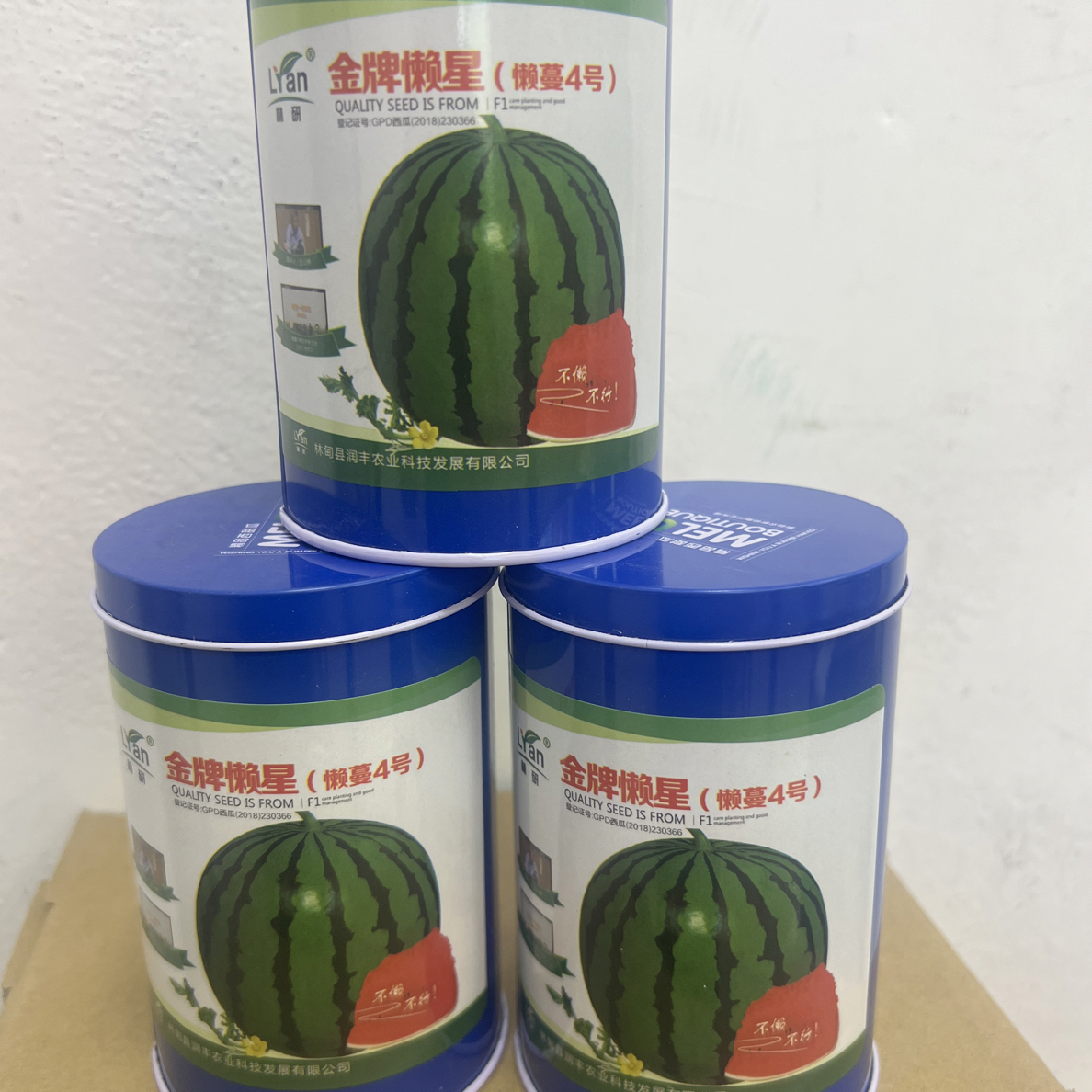 金牌懒蔓4号，免整枝地雷圆瓜，大红瓤瓜种子（每盒40克）