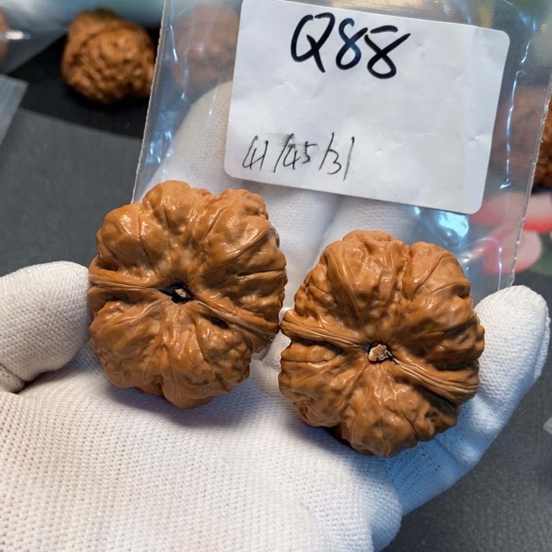 文玩核桃吊坠蛤蟆