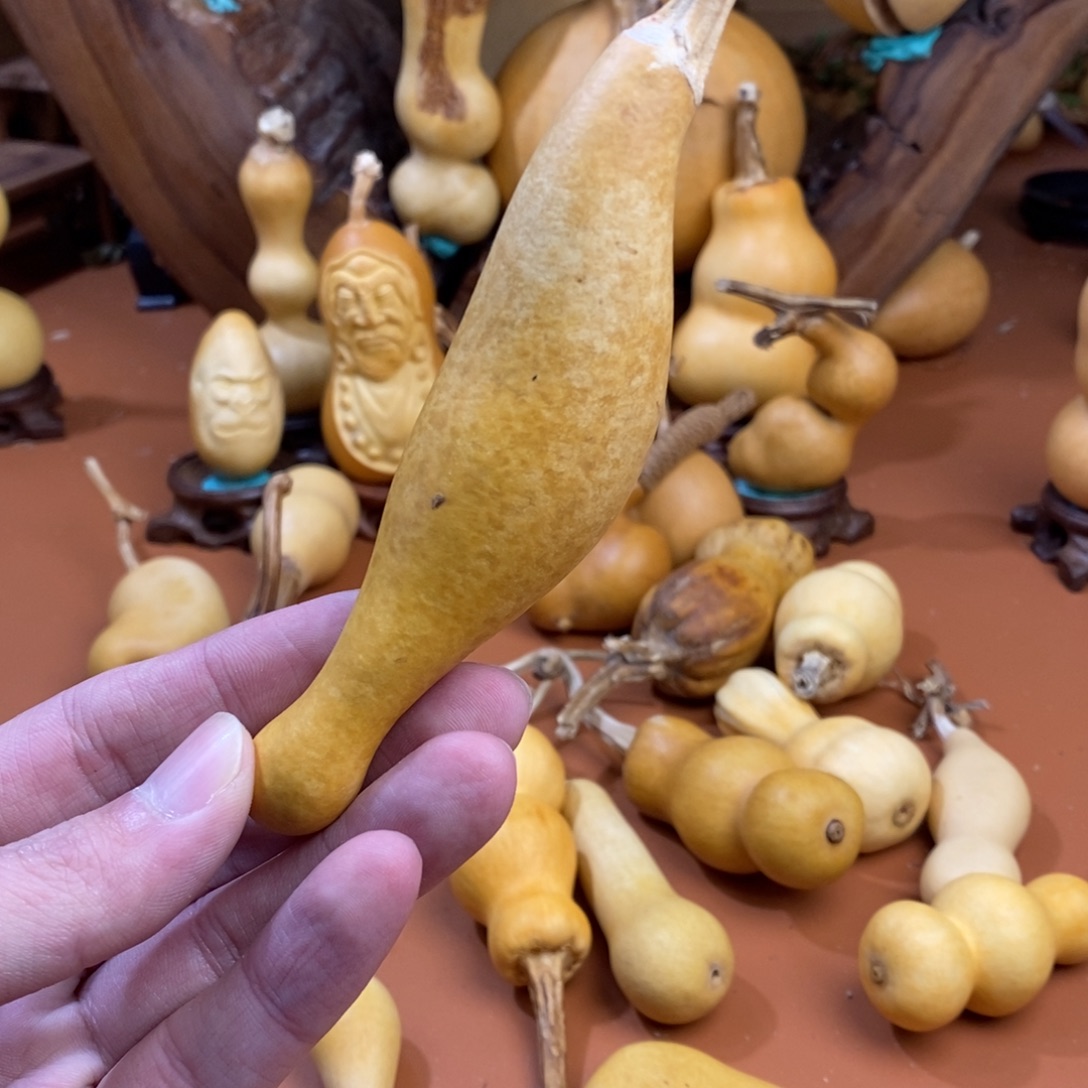 用***2教练咯教练咯哦嘛