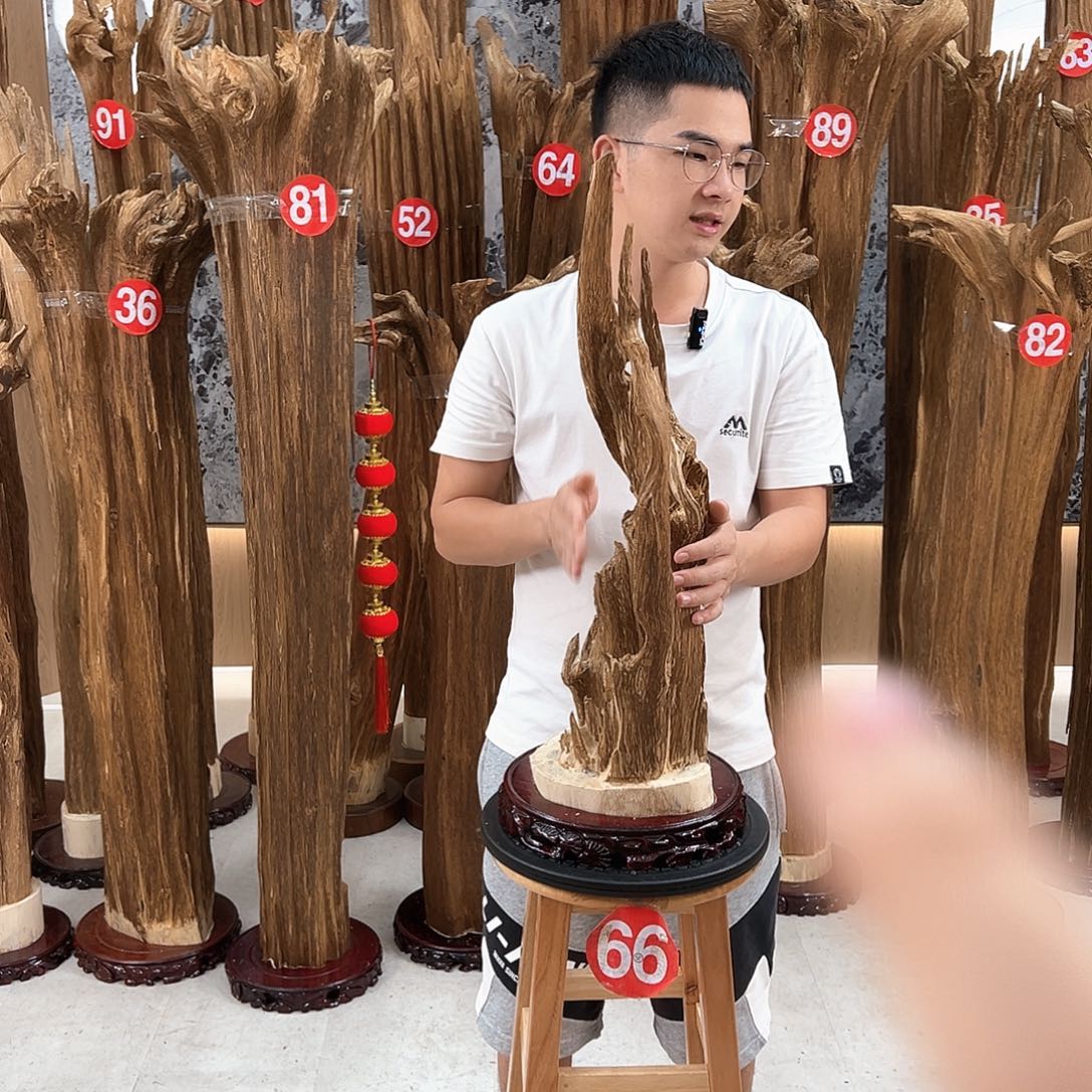 沉香沉香碎屑天然沉香原材料