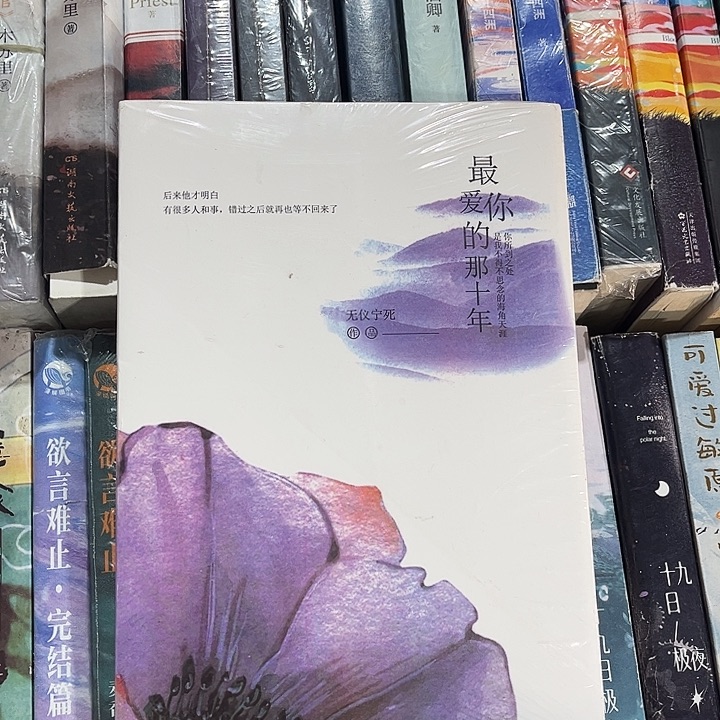 最爱你的那十年全新一本全