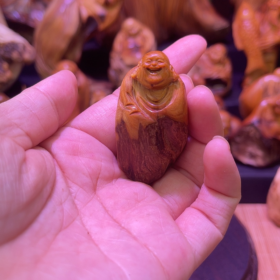 柏木88888888888888888