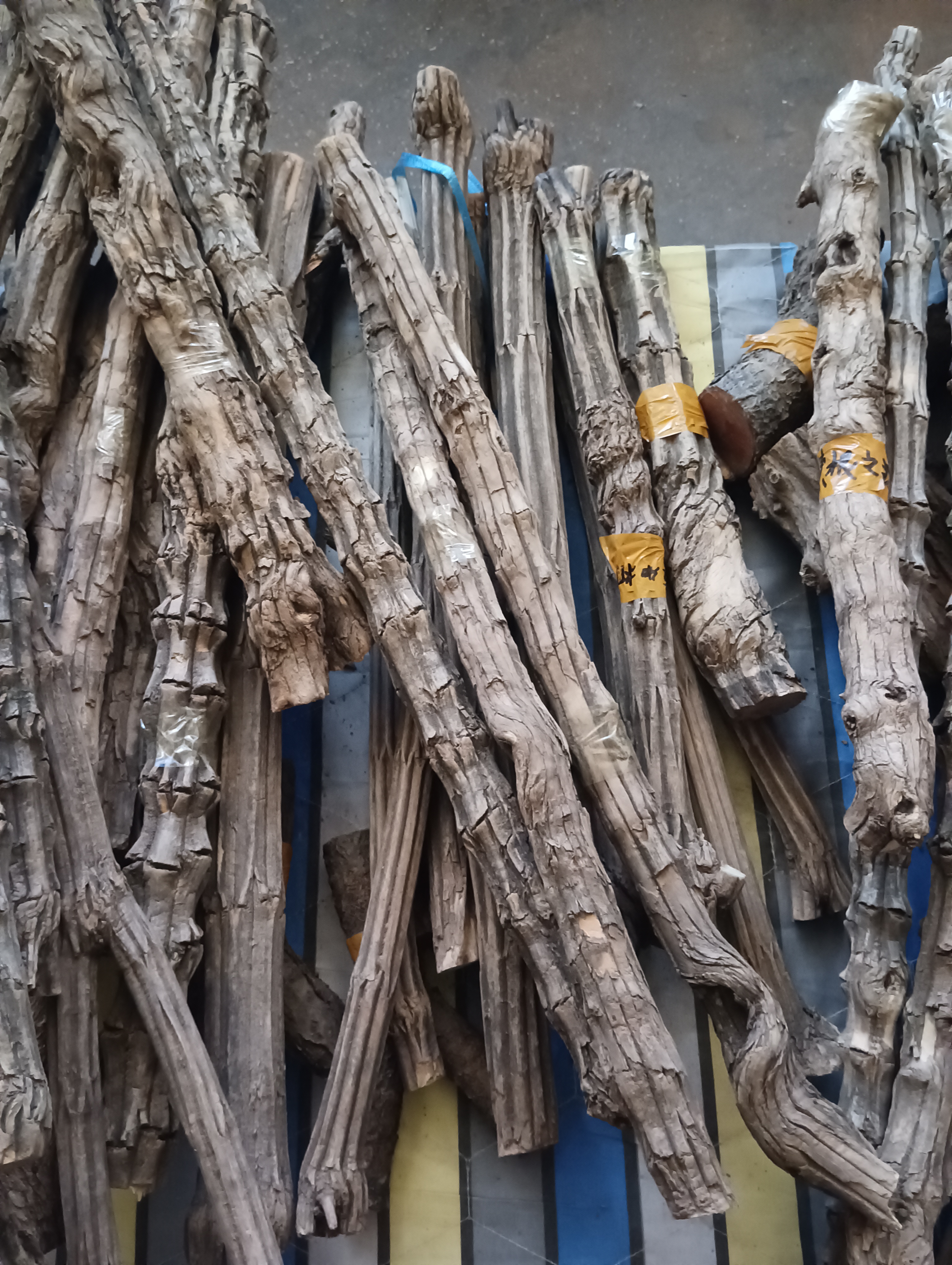 太行山降龙木湿料 邮政发货 偏远地区不包邮