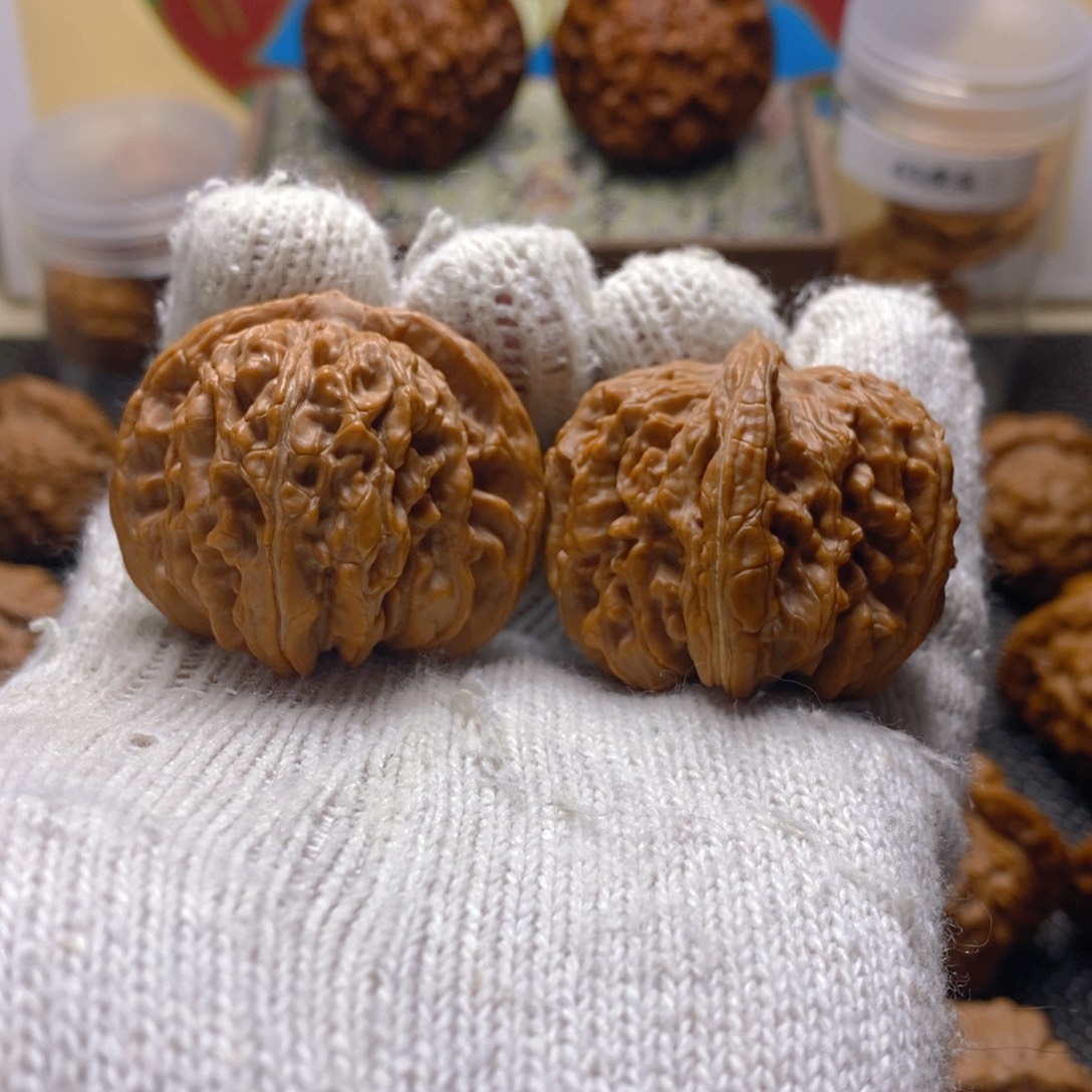 核桃43尺蓟县楼子红皮矮桩