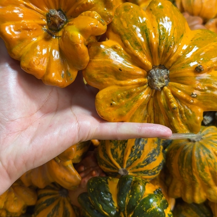 烟***冷饿哦饿哦饿哦饿哦饿哦饿哦饿哦