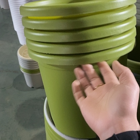 树脂四季4号5个无托果绿
