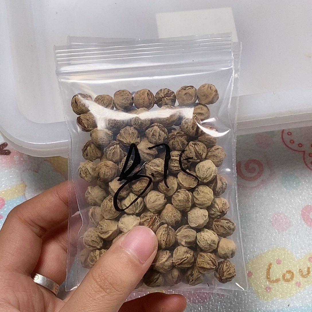 ****淮柏香籽/百香籽吊坠