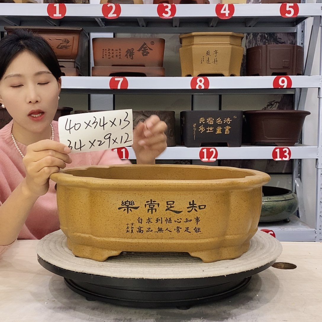 紫砂花盆紫砂花盆