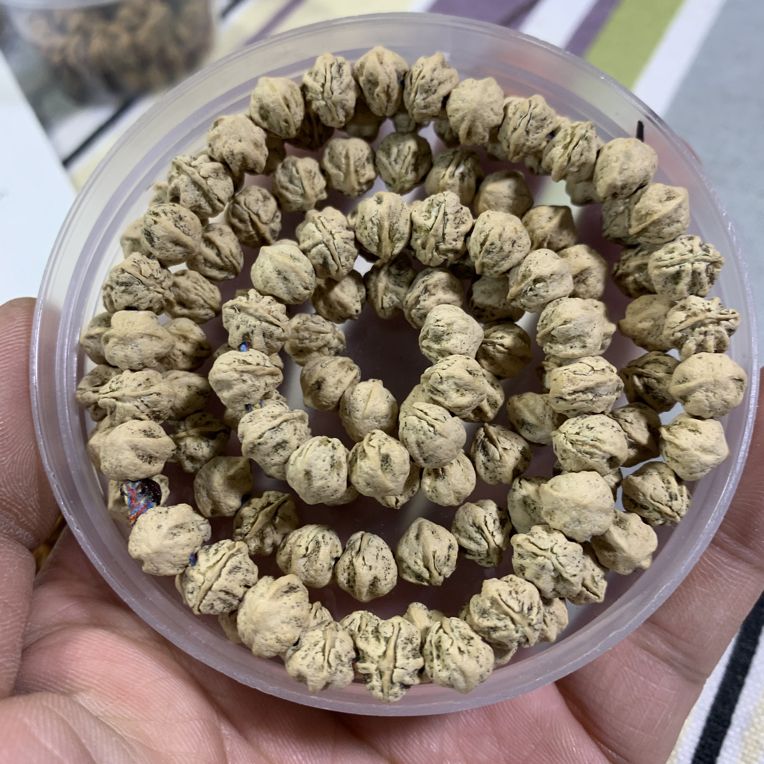 热振柏香籽 108原装横打  吞·咬金  高油高密粉油皮  