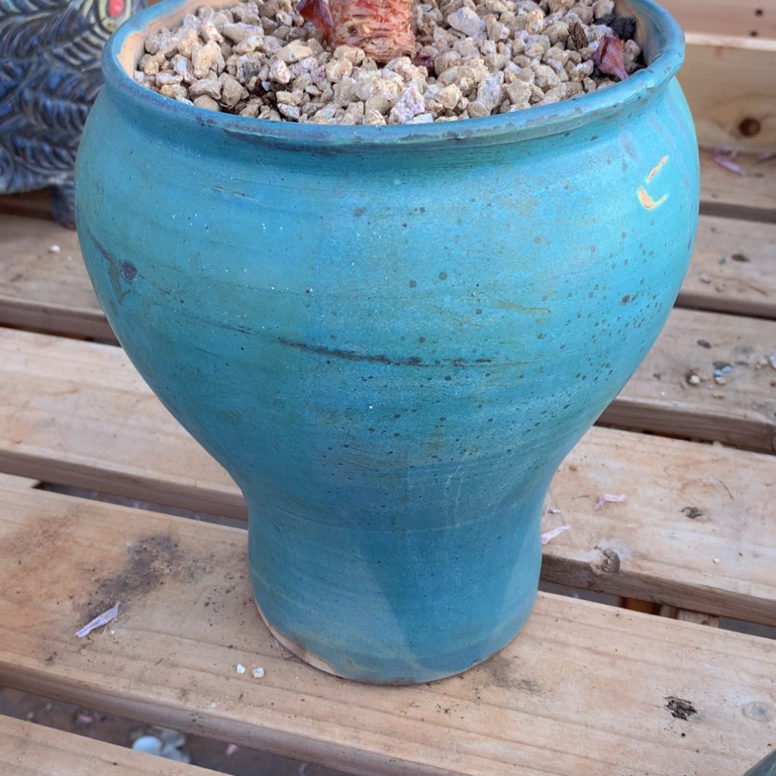 氢****发氢氧配桃蛋的盆一物一拍