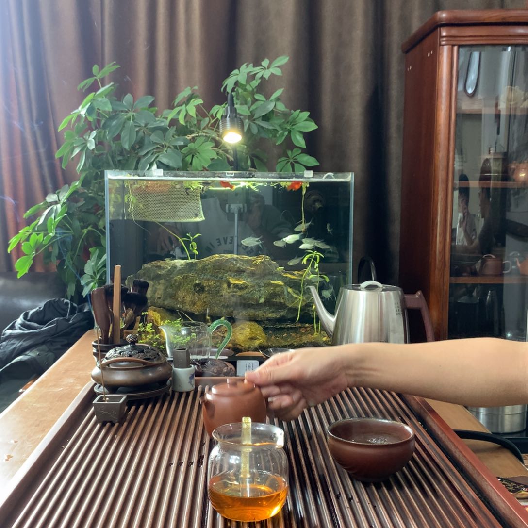 【闪购商品】紫砂茶宠唐*儿红88888888