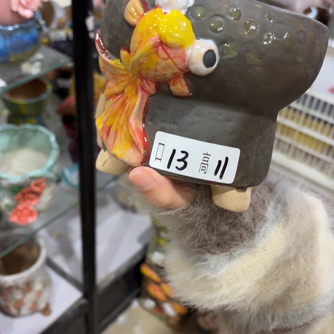 拍满20包邮飞，退款拉黑