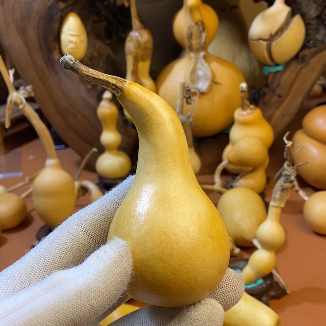 冷***天教练来咯哦哦哦哦咯