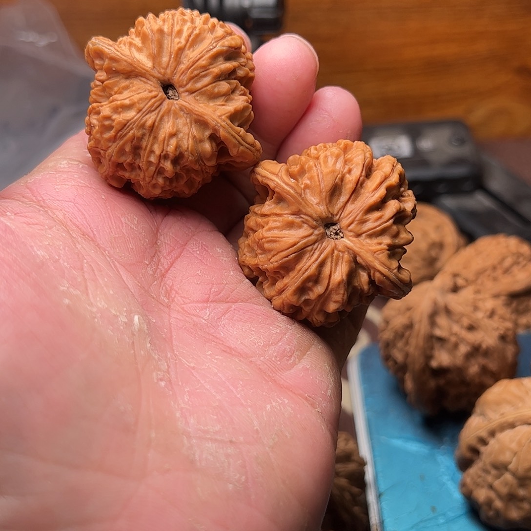 山***Y文玩核桃老树血麒麟