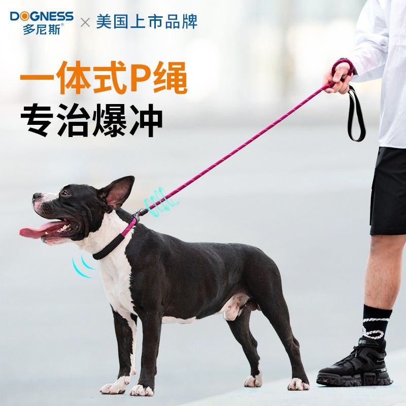 多尼斯p狗狗牵引加粗小中大型犬遛狗猫咪饮水机自动循环过滤