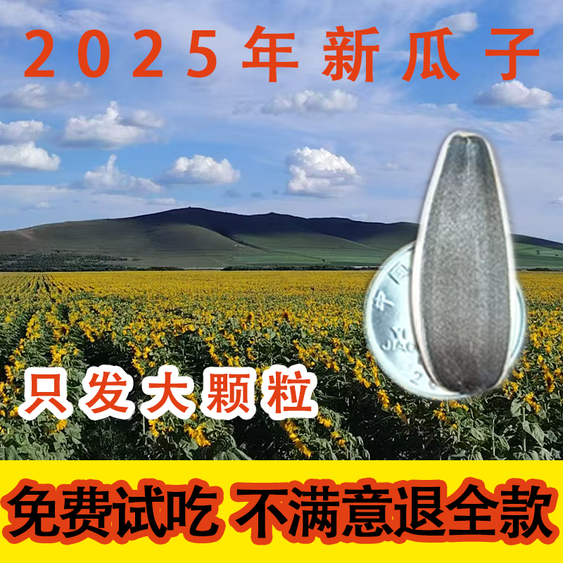 【大颗粒生瓜子】【免费试吃不满意退全款】内蒙古原味瓜子2025新货