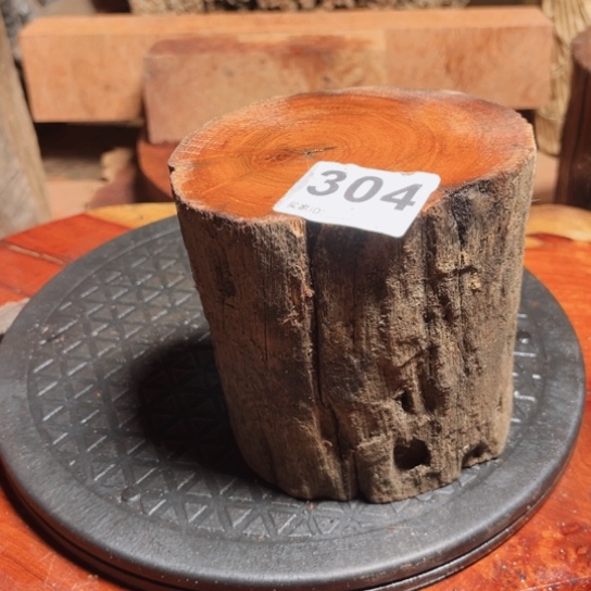 大果紫檀（缅甸花梨）