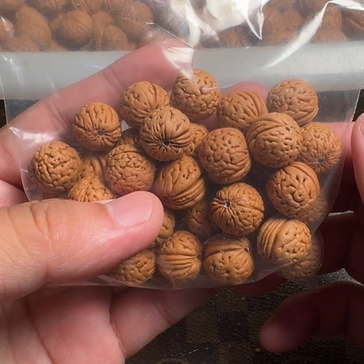 1***4猴头核桃吊坠666666666666