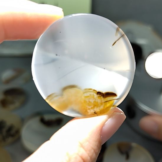 玛瑙/玉髓未镶嵌颈饰金蟾