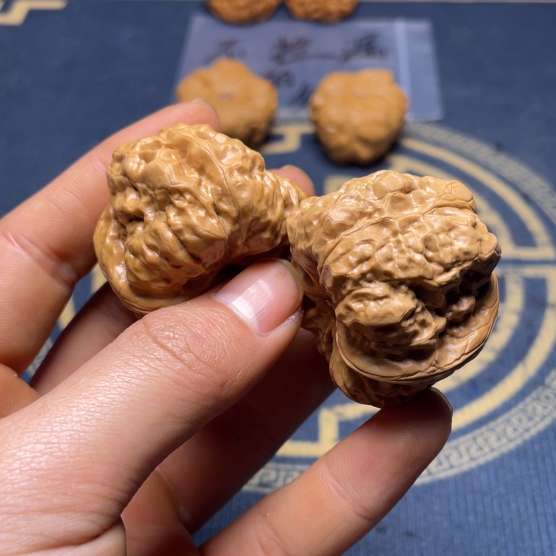 大叶紫檀（黑酸枝木类）