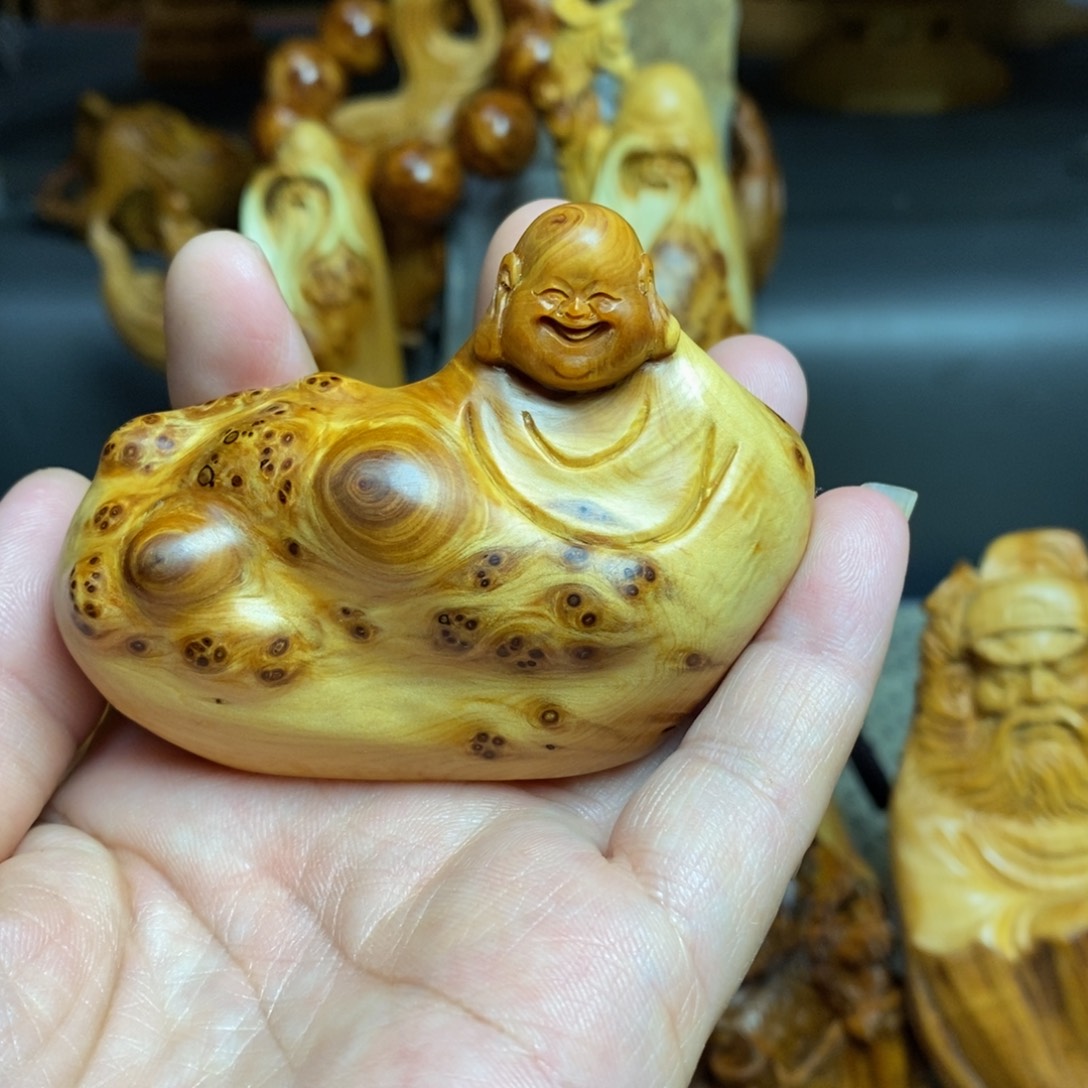 柏木（崖柏）太行山上