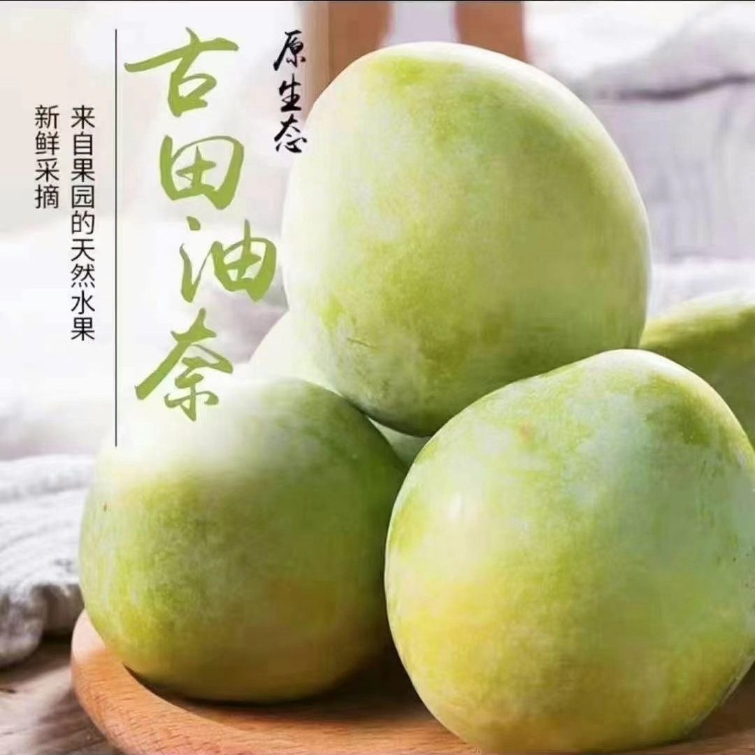 福建古田油奈桃形李青奈脆甜脱骨李当季新鲜现摘孕妇水果顺丰包邮