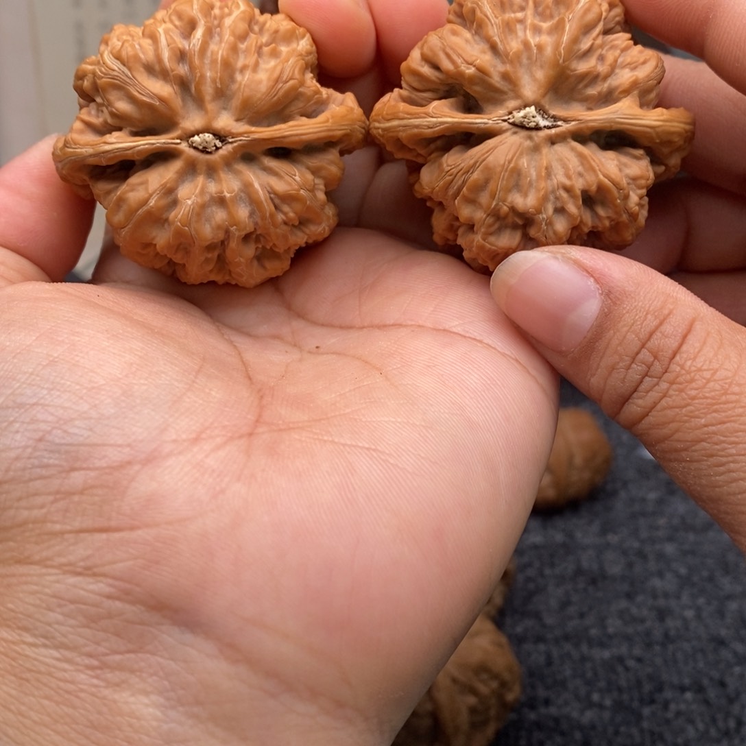 文玩核桃把件47大粗筋