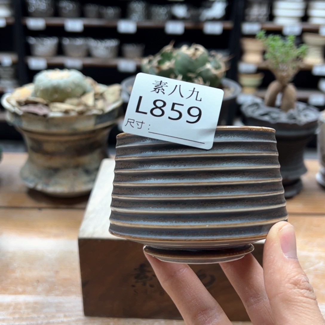 素八九陶瓷内口7高6.5