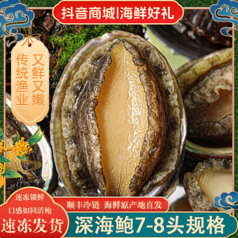 【丰鲍】7-8头鲍鱼6-7cm左右 东山岛深海活鲍液氮冷冻鲍鱼发货