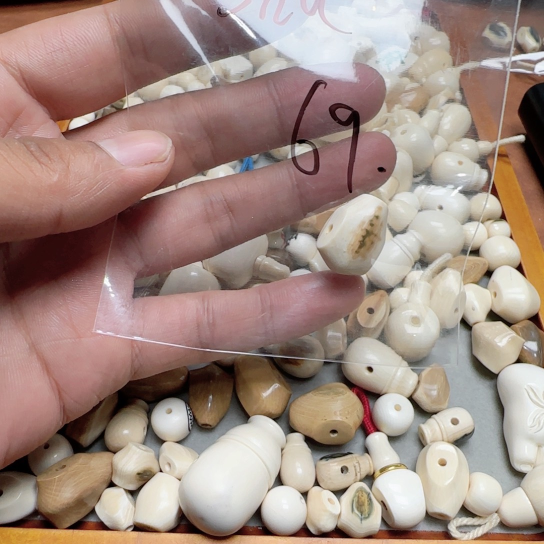 *****菩提籽类Sha猛犸牙鲨鱼背三通