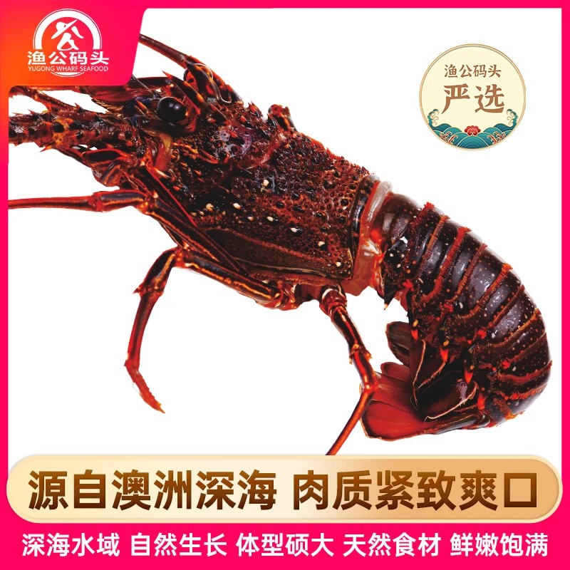渔公码头深海大龙虾礼盒-1A1000g/2A1200g