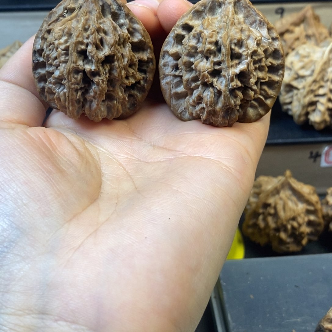 桃核吊坠二*秦岭薄楞官帽39