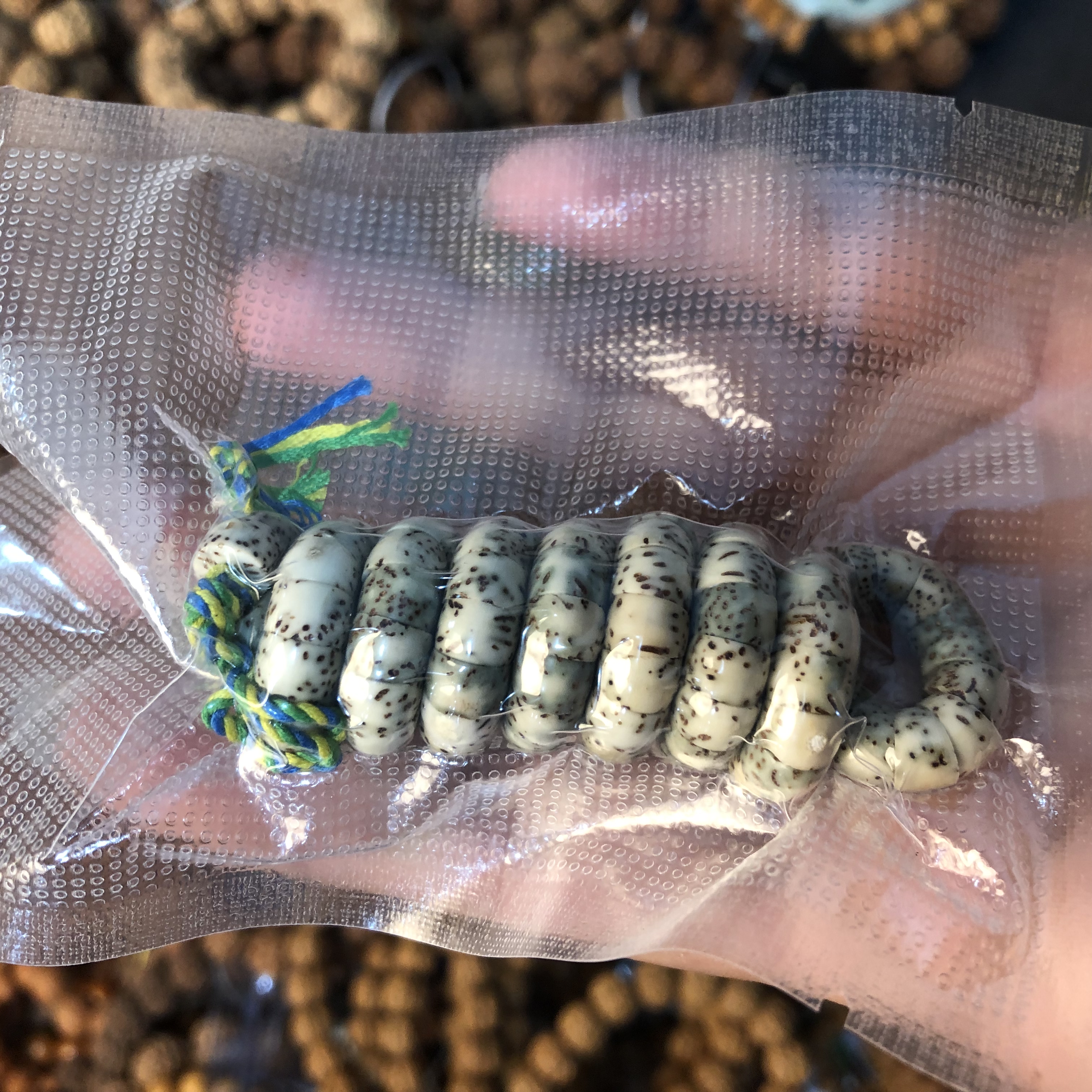星月大肠手串0.7绿幽灵正宗海南星月菩提籽精品文玩手串