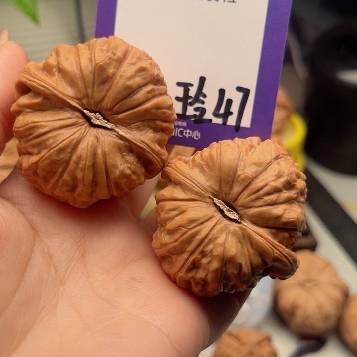 吊坠文玩核桃烹****i文玩核桃47