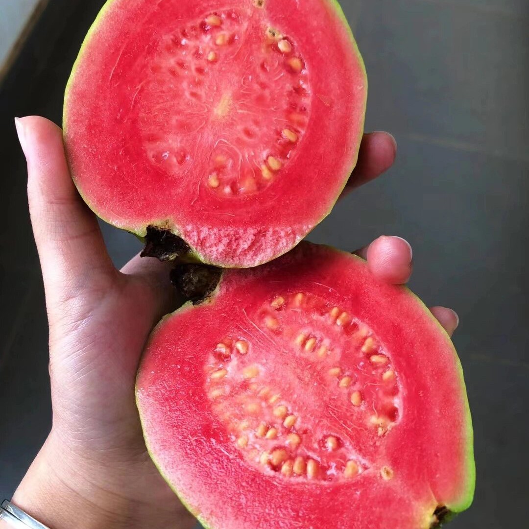 红心芭乐一箱5-7个约 3斤左右