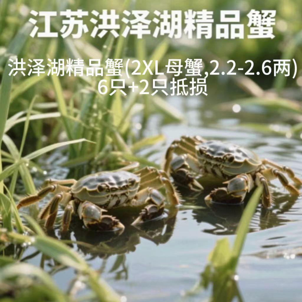 洪泽湖精品蟹(2XL母蟹,2.2-2.6两)6只+2只抵损