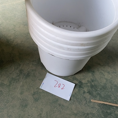 树脂编号282瑕疵