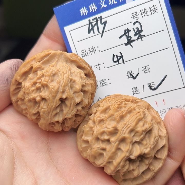 文玩核桃吊坠核桃树473