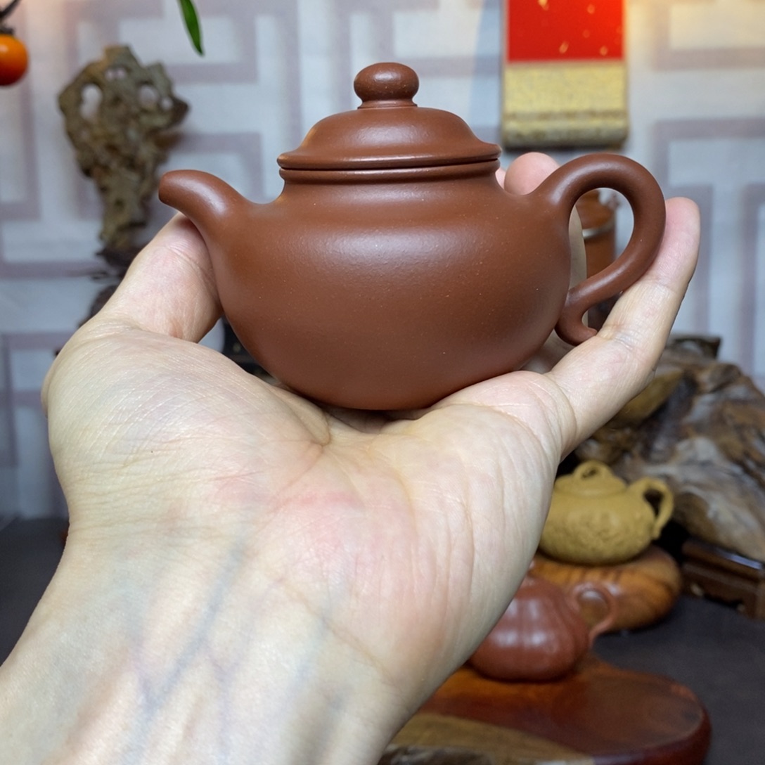 茶壶紫砂紫砂茶具底槽青莲子