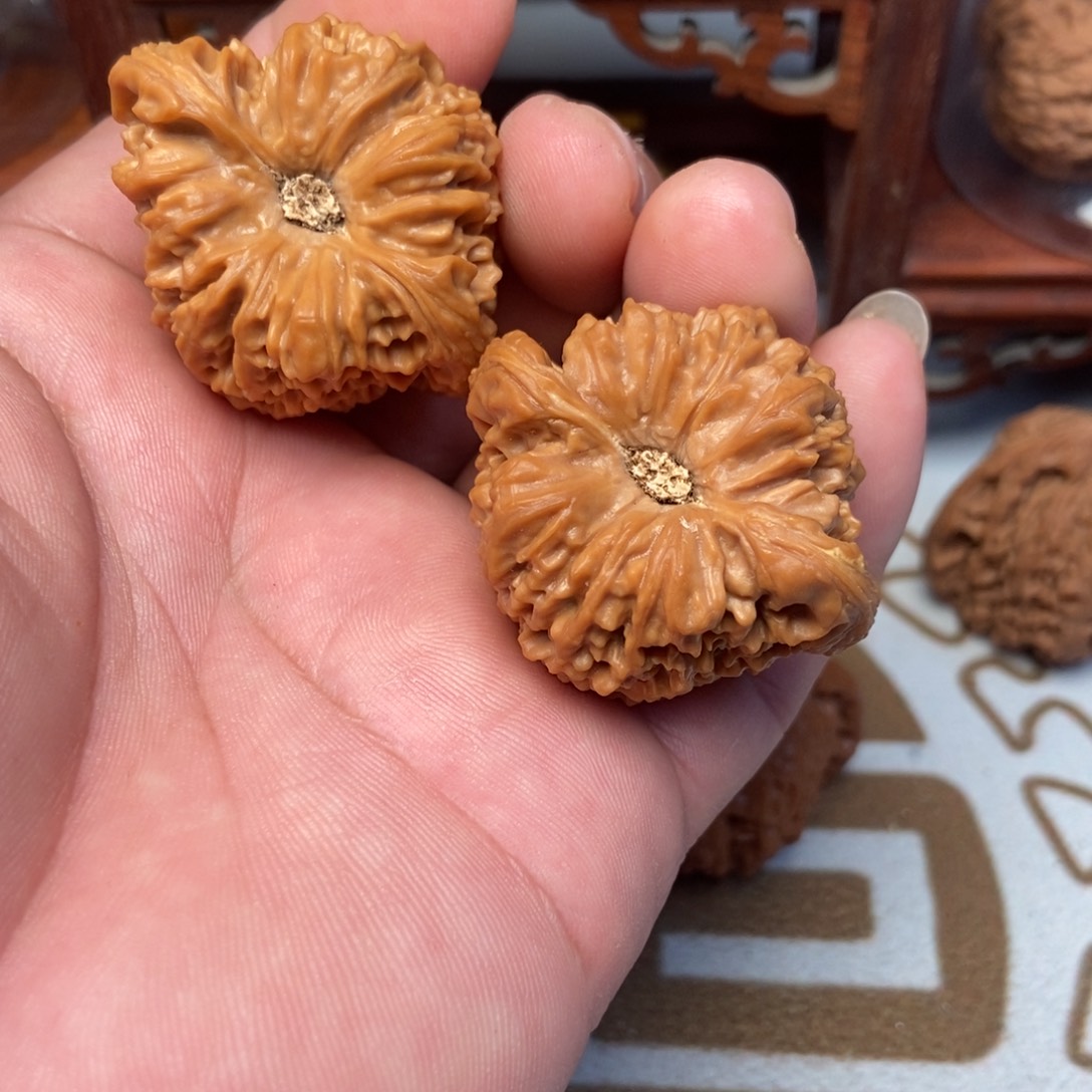 大叶紫檀（黑酸枝木类）