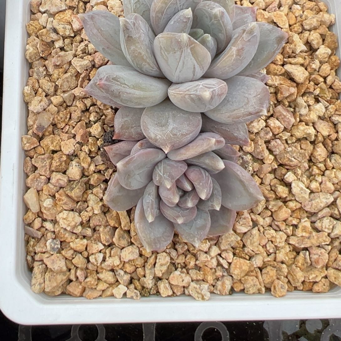 崔***鹏11111111111111111111111