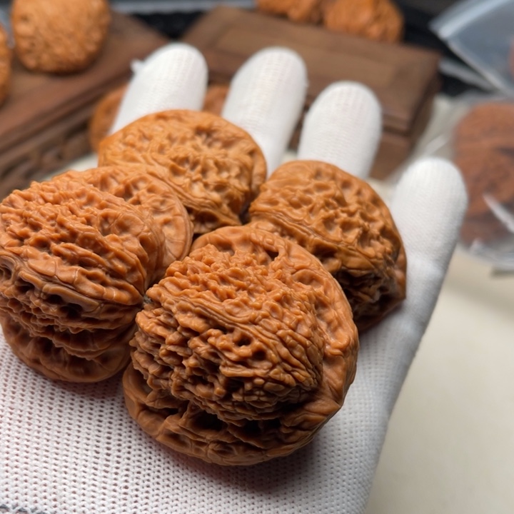 博***驰核桃两对回血南将 蛮王