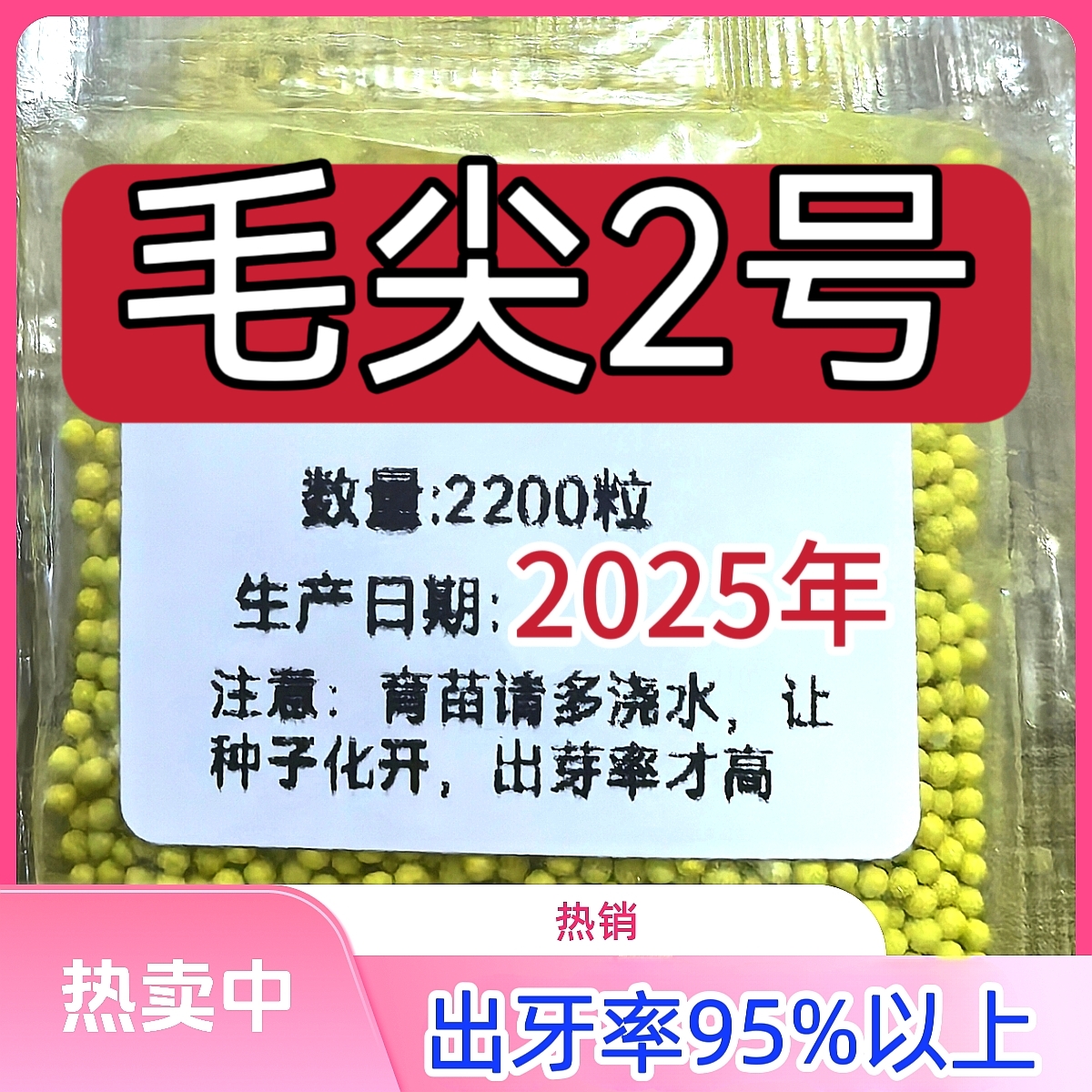 毛尖2号云贵川陕河湖卖的好适合海拔2400以下