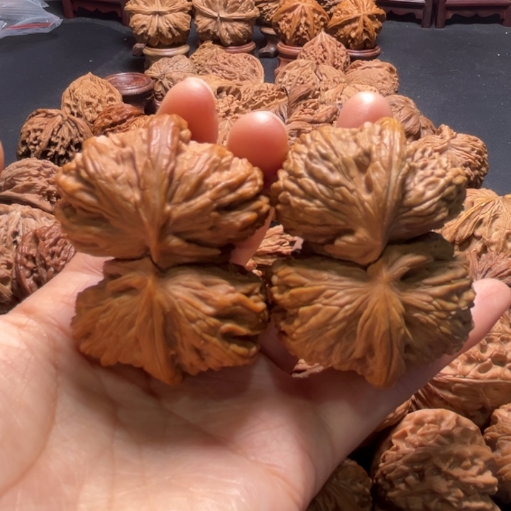 白狮子连体51尺寸核桃哈哈哈哈哈哈