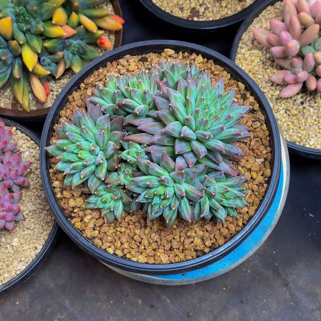 哈哈哈哈哈哈哈哈哈哈