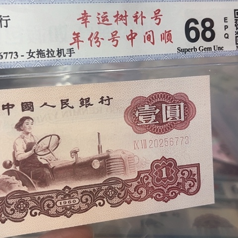 幸运树补号年份号中间顺20256773